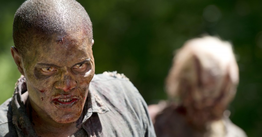 the walking dead thank you, the walking dead season 3 episode 3 recap