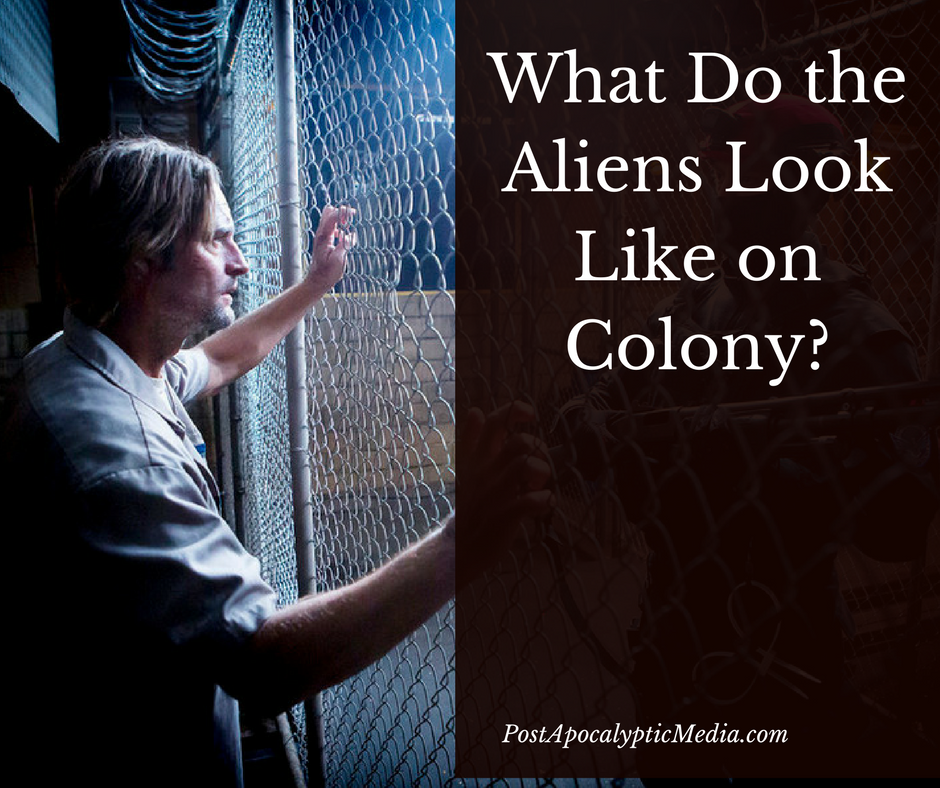What Do the Aliens Look Like on Colony?