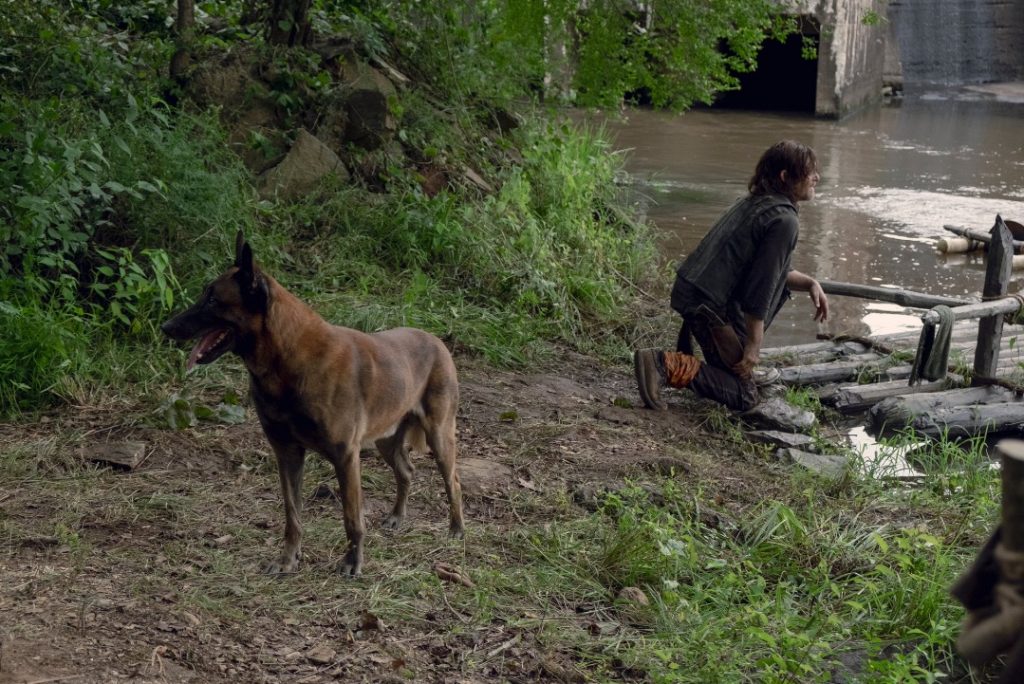 Daryl and Dog