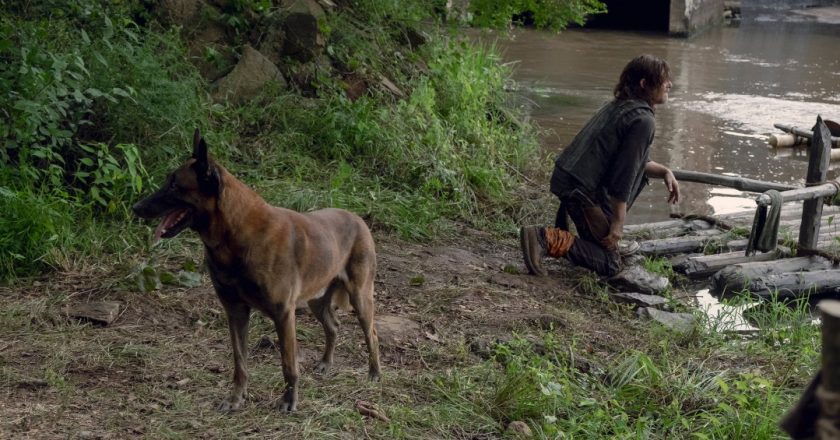 Daryl and Dog