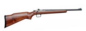 Crickett Adult rifle