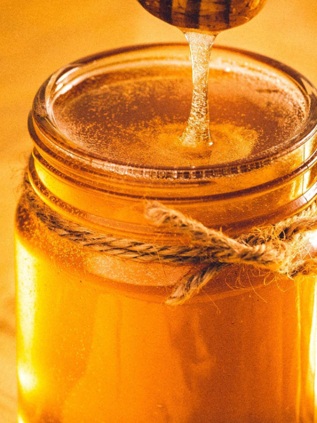 Radioactive Fallout Found in Honey Story