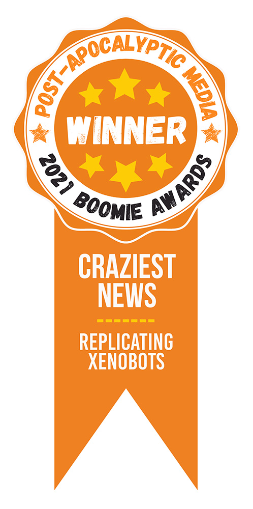 Craziest News Award