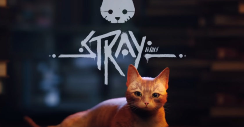 Stray