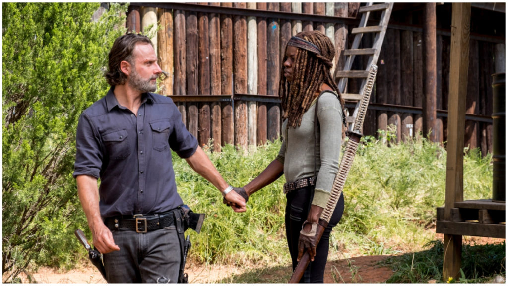 Rick and Michonne's new series