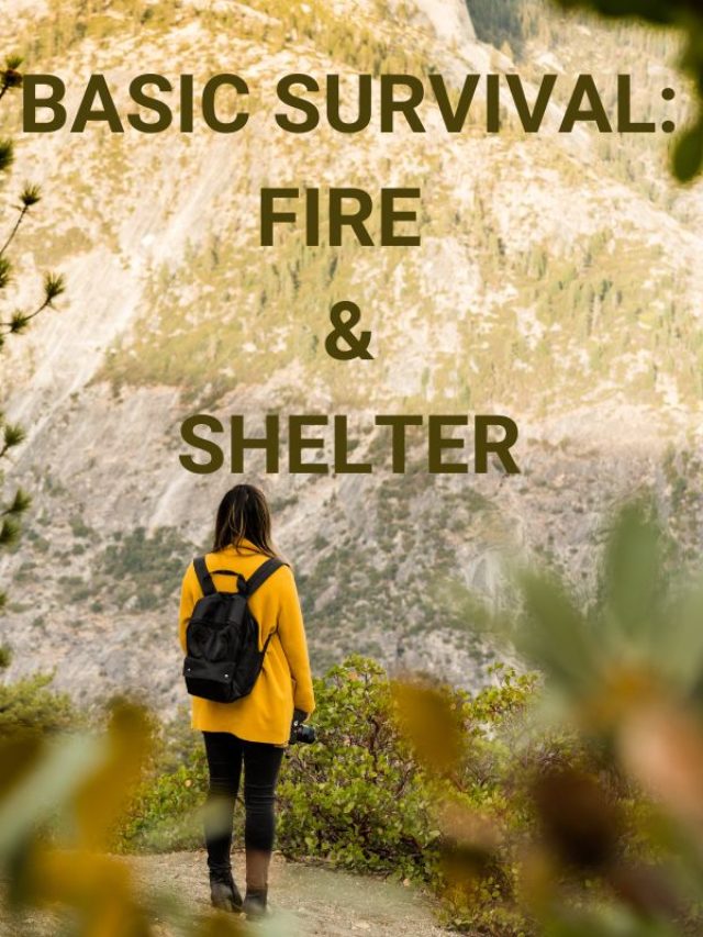 Basic Survival: Shelter and Fire Story