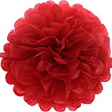 Lightingsky 10pcs DIY Decorative Tissue Paper Pom-poms Flowers Ball Perfect for Party Wedding Home Outdoor Decoration (4-inch Diameter, Red)