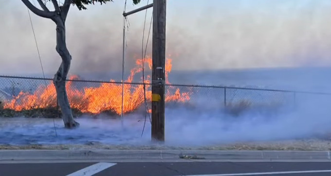 Maui fires