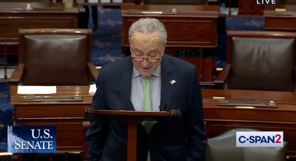 Schumer addresses the Senate. (CSPAN)